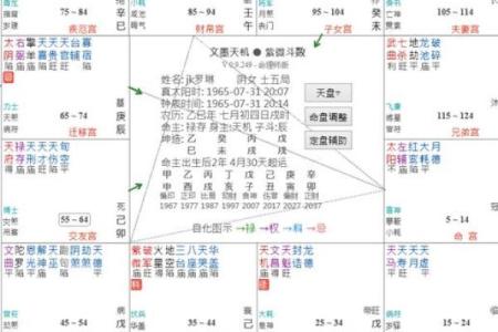 紫薇斗数盘是什么