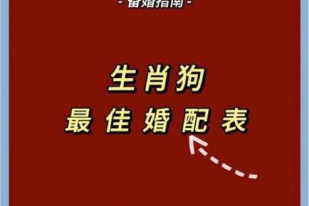 属狗的女人和什么属相最配对 属狗的女人和什么属相最配婚姻