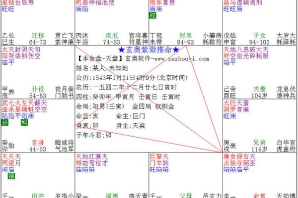 阿道夫紫薇斗数