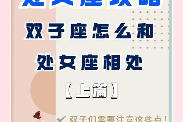 双子处女座配对分析