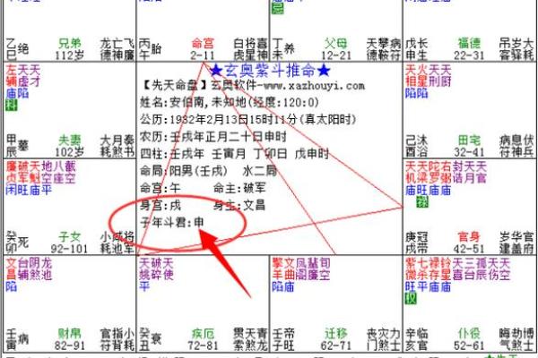 紫薇斗数斗君的意义