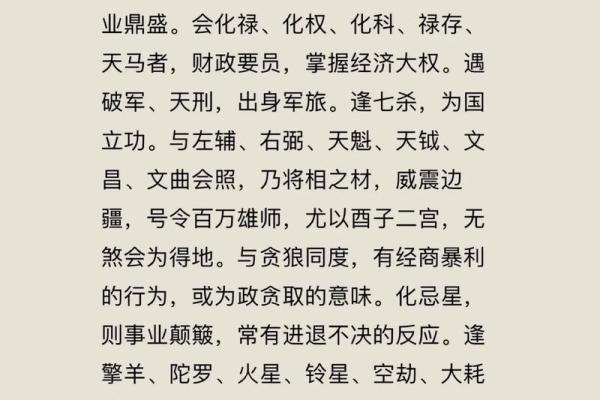 紫薇斗数大限武曲