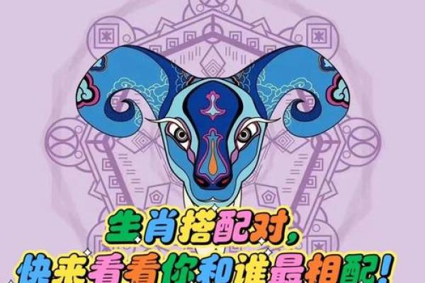 老鼠和什么属相最配对 老鼠和哪个属相最佳配对