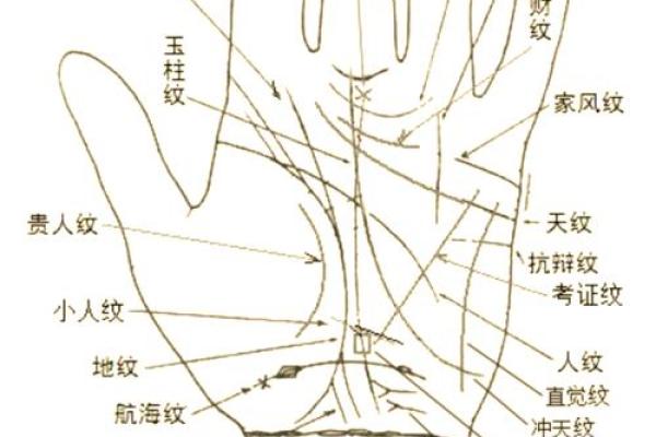 《手相学习百科》：掌脊纹