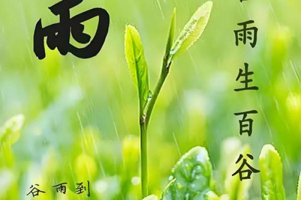 谷雨有什么民俗 谷雨的四言绝句