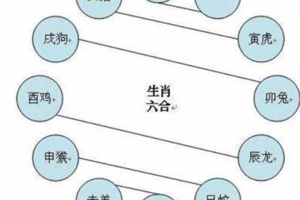 生肖男女配对大全，花果学说详解