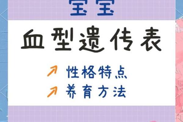 2012各血型的有效学习方法