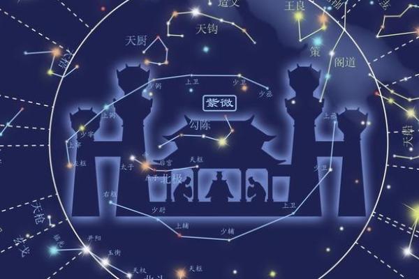 紫薇星斗数排盘准吗