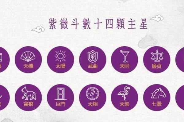 意象紫薇斗数