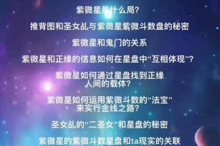 阿道夫紫薇斗数