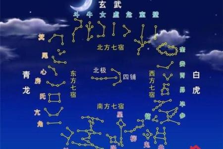 紫微斗数之福德宫与诸星，太阳星在福德宫是什么意思？