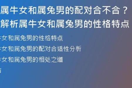 属兔的婚姻配对最佳