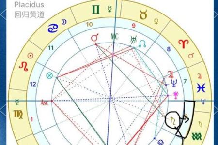 9月9日出生的星座是哪一个宫位