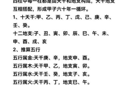 八字排盘详解破解版