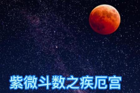 紫微斗数疾厄宫太阴化禄