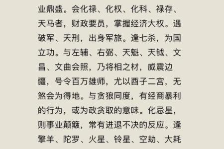 紫薇斗数大限武曲