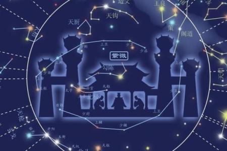 紫薇星斗数排盘准吗