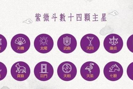 意象紫薇斗数
