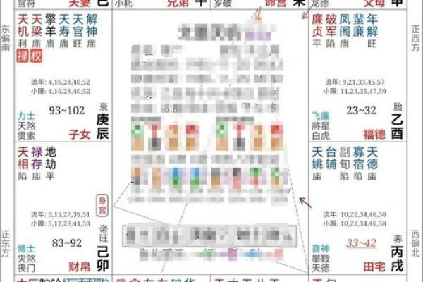 紫微斗数小字 紫微斗数小字衰老病死？