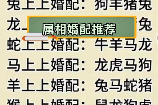 属马的女人和什么属相最配对 属马的女人和什么属相最配婚姻