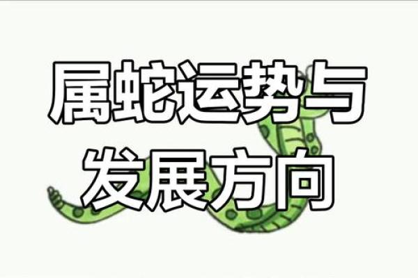今日属蛇方位吉凶查询