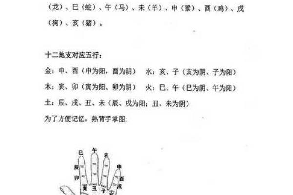 什么叫全阳命,八字全阳的女人命运