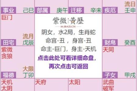 紫薇斗数双化科