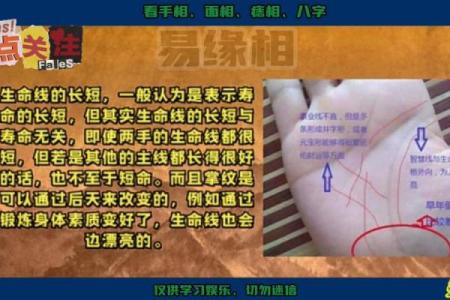 《手相学习百科》：生命线
