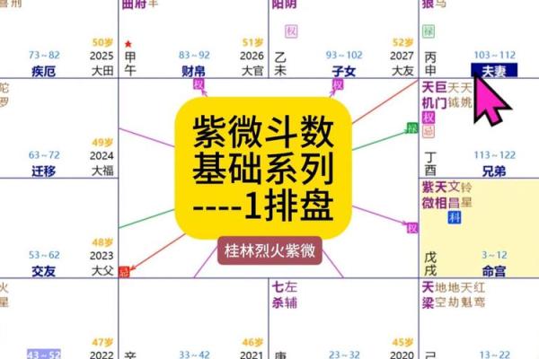 紫薇斗数旺衰