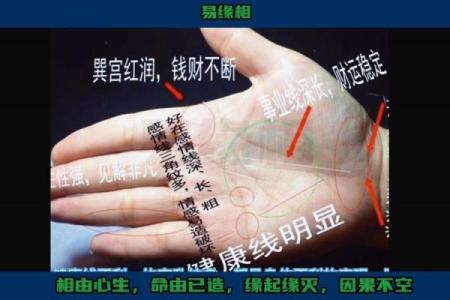 《手相学习百科》：手相看家庭与遗传