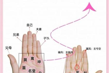 《手相学习百科》：手纹看退休