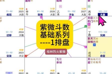 紫薇斗数旺衰