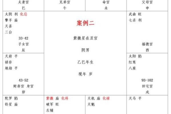 紫薇斗数看领导