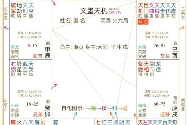 紫薇斗数格局图