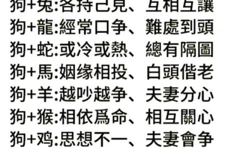 狗跟什么生肖配对最好 生肖狗最佳配对