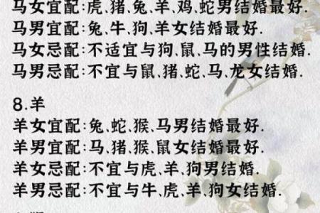 90属马人和96属鼠人配对  两人可以结婚吗