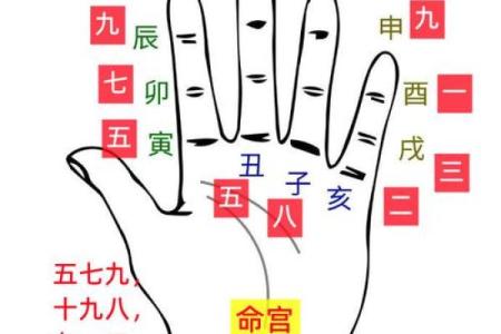 八卦图算命预测！易学命理方法