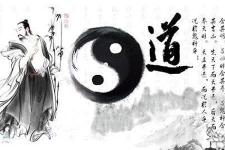 八字命理出林之兔是属于什么命