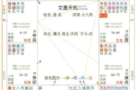紫薇斗数格局图