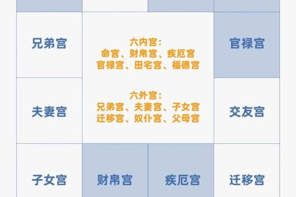 紫薇斗数看做什么