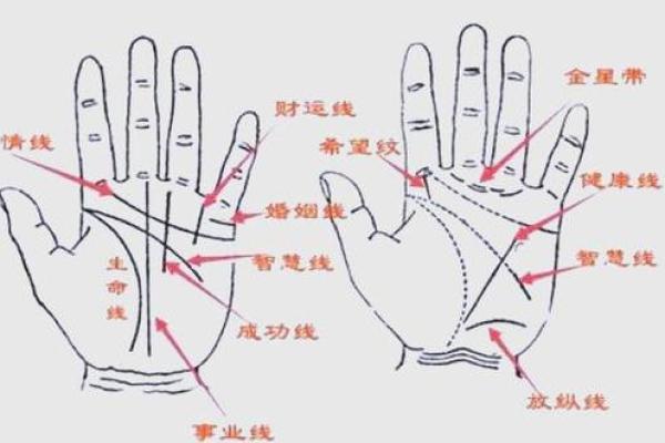 风水观点女子右手假断掌手相解析