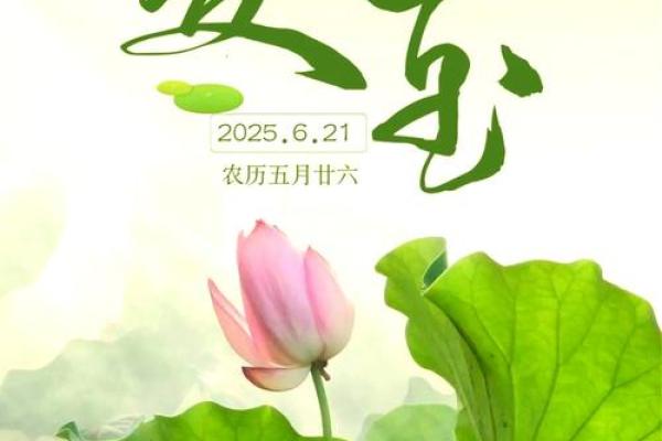 节气节日相遇，欢愉与追思相随