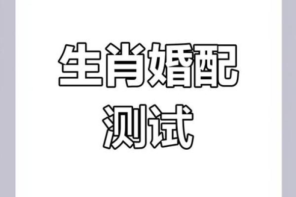 十二生肖配对指数大揭秘