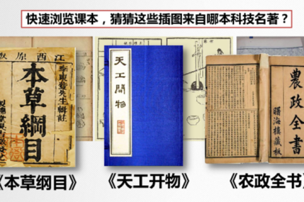 以娣为中心的百科全书，覆盖科技、文化、历史知识