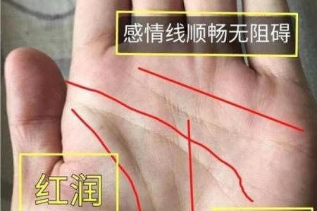 《手相学习百科》：手相看财运和好运