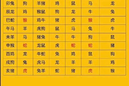 属虎和什么属相最配对 属虎和什么属相相冲