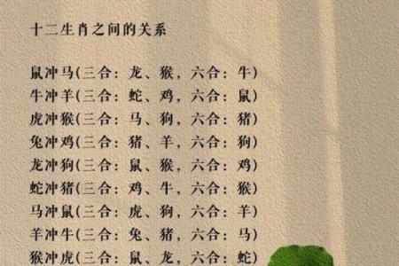 属鸡和什么属相最配对 属鸡和什么属相相冲