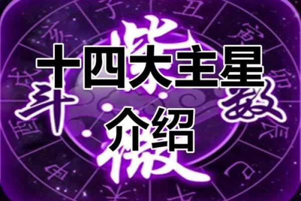 讲解简版 命无主星13 弘扬优秀传统文化 发扬紫微斗数 #紫微斗数