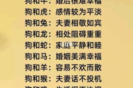 鼠狗生肖配对姻缘合适吗 鼠狗婚配的婚姻如何？