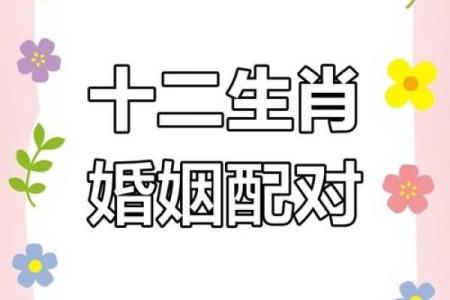 在一起最旺对方的六大生肖配对